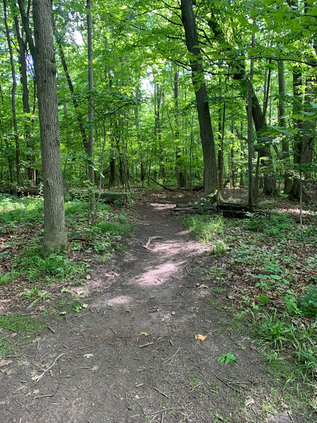 A little flat with a small wood obstacle right after a bench to rest on.