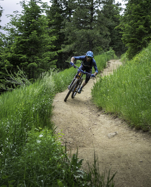 Nice flow just off the topout of Lookout Mountain Trail.