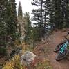 Fall colors on the trail.