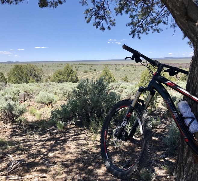 Quick stop in the shade to gaze upon the gorge.