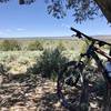 Quick stop in the shade to gaze upon the gorge.