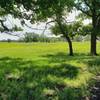 Nice mix of trees and fields.