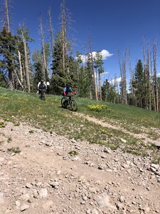 Headed down Aspenola near one of the road crossings.