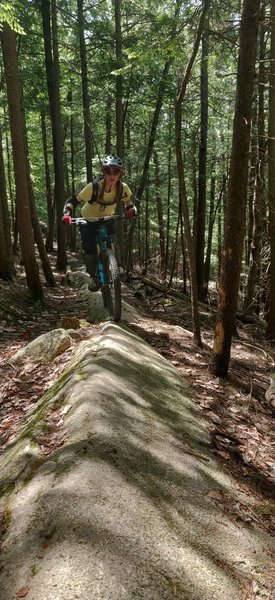 Riding a rock spine on Harrington Heights.