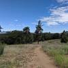 Looking northwest towards Mt. Cuyamaca.