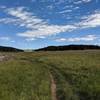 Looking north towards the Big Laguna Meadow.