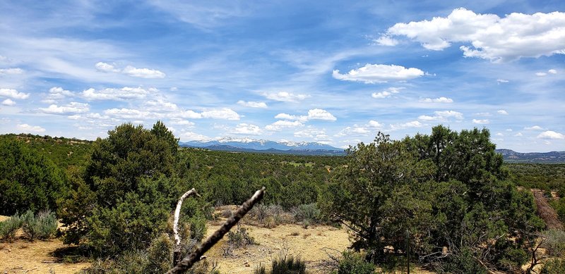 One of many awesome views of the La Plata Mountains.