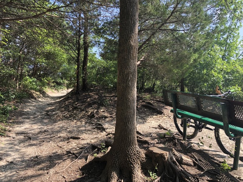 A restful bench with a great view of the lake on the Baker Loop Trail.