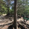 A restful bench with a great view of the lake on the Baker Loop Trail.