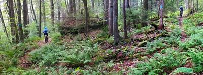 There is something about Kennison Mountain Trail that draws people to it. Photo by Mike Boyes.