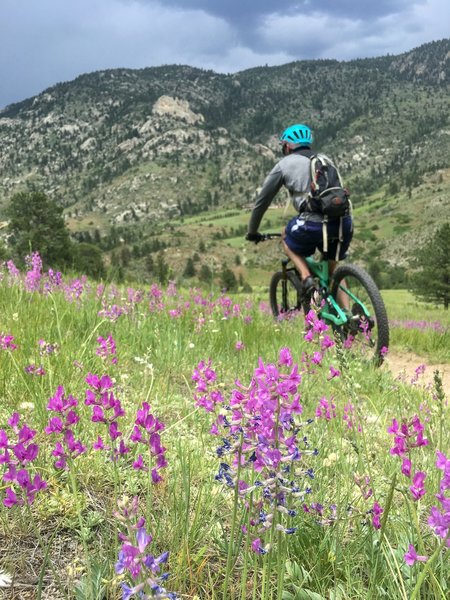 Singletrack relief from technical, rocky, fast, steep downhill.