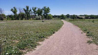 Keep an eye out for prairie dogs!