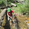 Daze fording Monitor Creek.