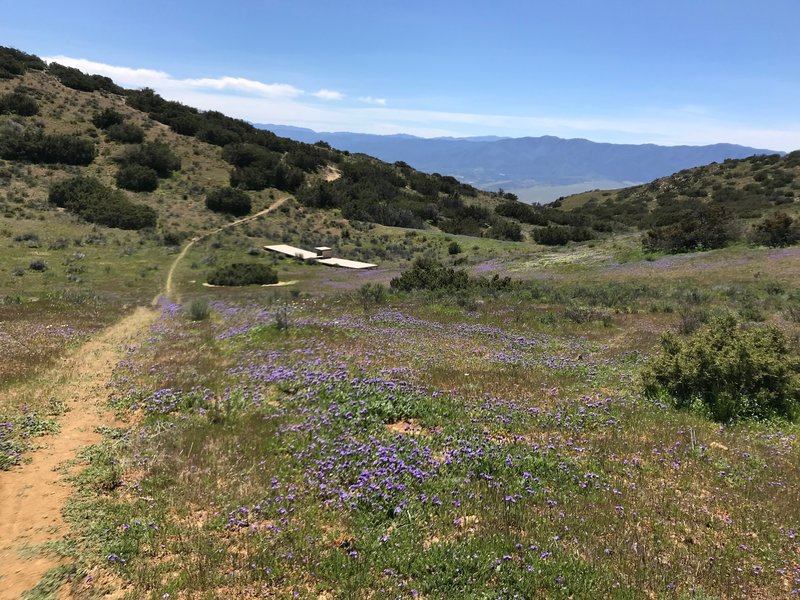 Looking south toward Cuyama Valley.