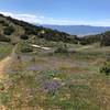 Looking south toward Cuyama Valley.