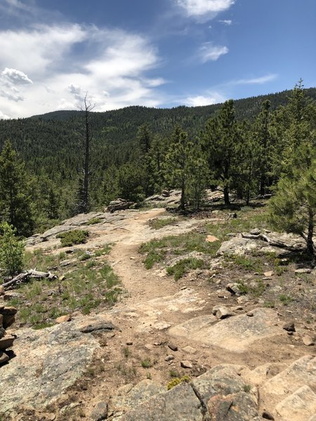 Bumpy fun on Moose Meadows Trail