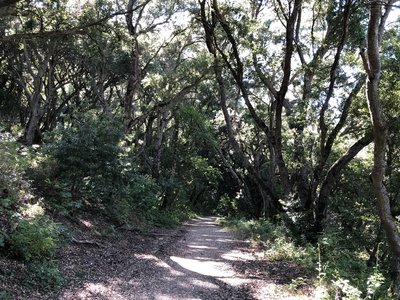 Old Finley Road