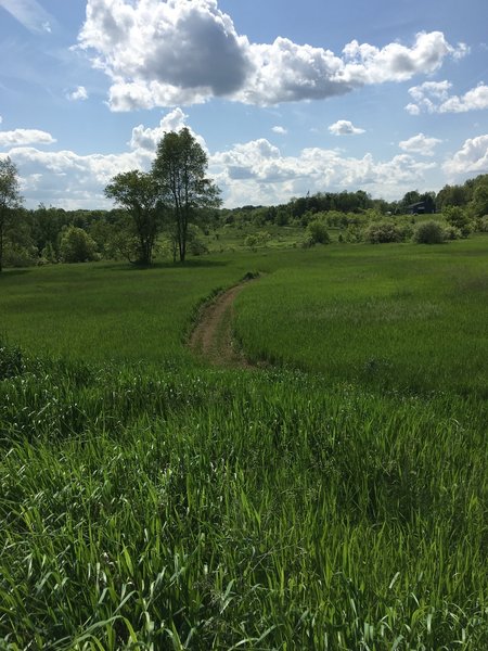 View from sledding hill