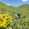 In early summer, this area is like a scene out of a movie - so beautiful!