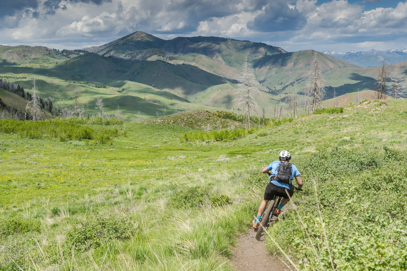 One of the best downhills in the area ... so fast, so beautiful.