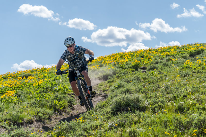 Wildflowers everywhere on Adam's Rib!