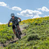 Wildflowers everywhere on Adam's Rib!