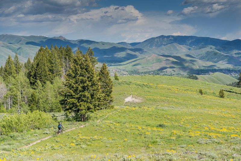 Huge views and great singletrack on the Adam's Rib descent.