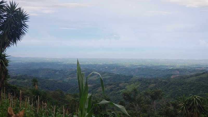 La costa Salvadoreña vista desde Cantón Quezalapa.