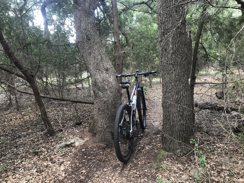 This trail is amazing! Yes there are a lot of rocks, but they are pretty doable -- you just have to commit.