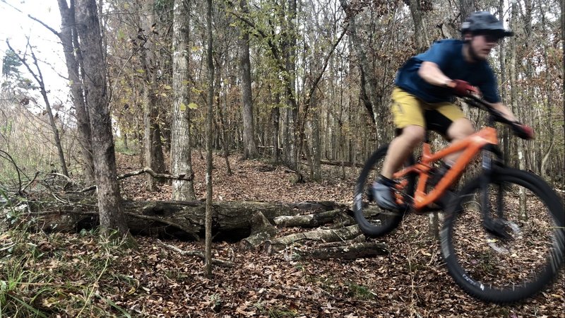 Log jump at the bottom of first Conquistador hill.