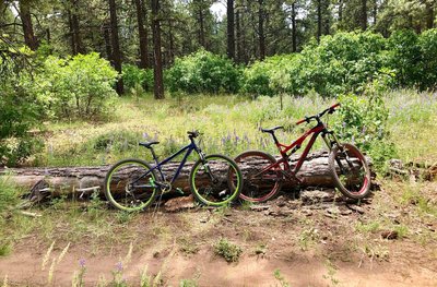 Stop by the wildflowers