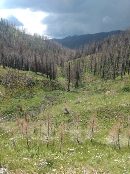 looking back to the Trailhead before climbing the pass