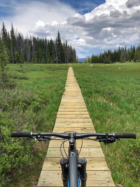 Nice boardwalk across a meadow on High Lonesome trail.