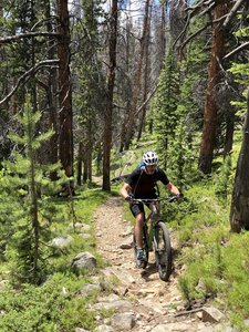 A steep but rideable climb at about the halfway point riding northbound on High Lonesome trail.