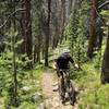 A steep but rideable climb at about the halfway point riding northbound on High Lonesome trail.