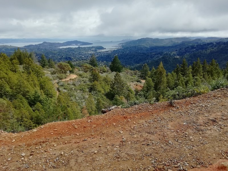 The view of San Francisco on the climb up Mt Tam.