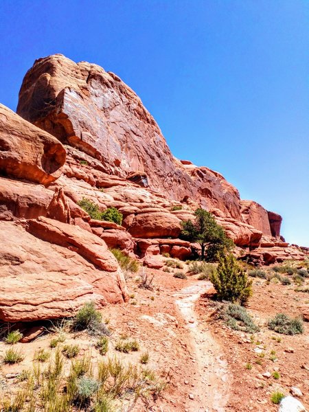 Navajo Rocks Loop Big Mesa on the Navajo Rocks Loop