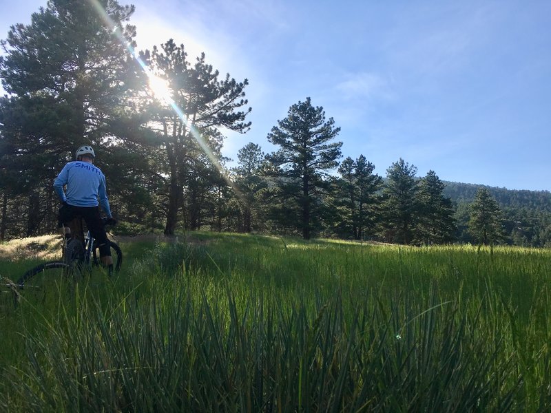 Catching our breath in the fading afternoon light.