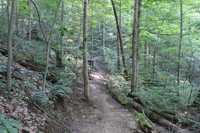 Initial descent on High Meadow.