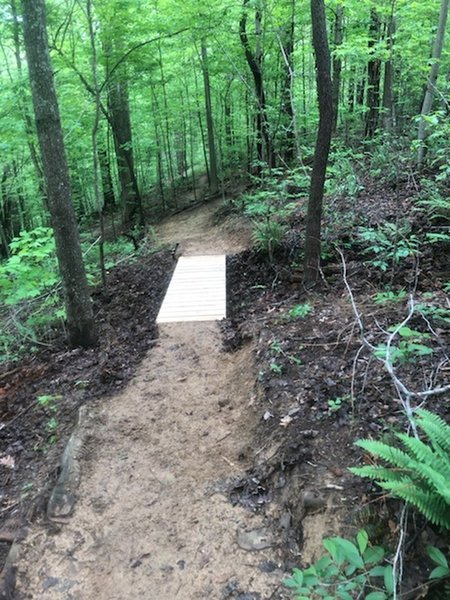 High Meadow Bridge descent.