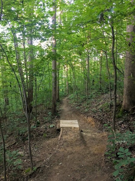 Downhill approach to the gap drop on High Meadow - Connector.