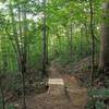 Downhill approach to the gap drop on High Meadow - Connector.