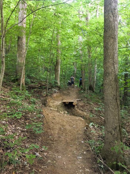 Uphill view of the gap drop on High Meadow - Connector.