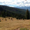 The upper part of the Two Elk trail is gorgeous and really easy.  It gets more difficult as you get closer to Minturn.