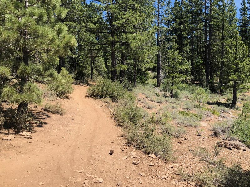 Sawtooth Trail