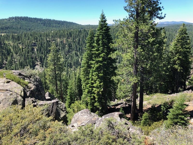 Sawtooth, looking west.