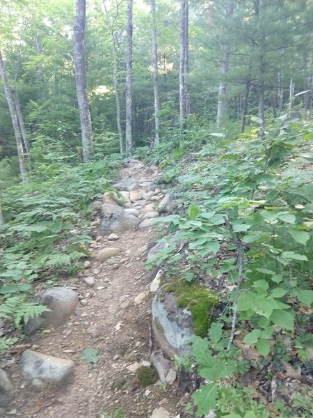 Steep climb on the way up Lady Slipper.