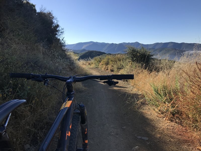 Perfect cool morning ride up Truck Trail.