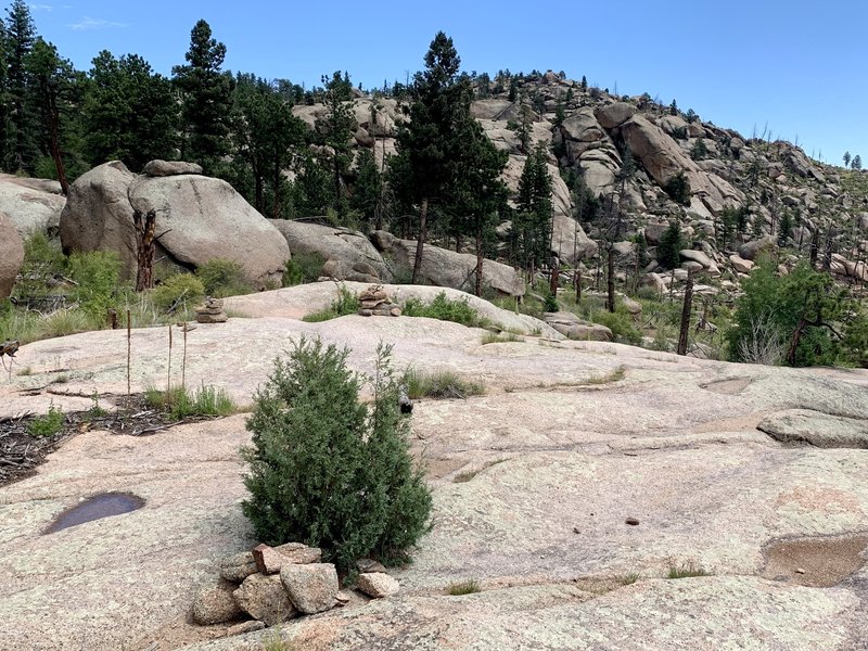 You wouldn't know this was a trail without the cairns along this rock mesa, but an amazingly organic, challenging and scenic ride on way to Black Jack trail.