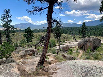 Looking back south over Raspberry Ridge trail ... already in a zone.